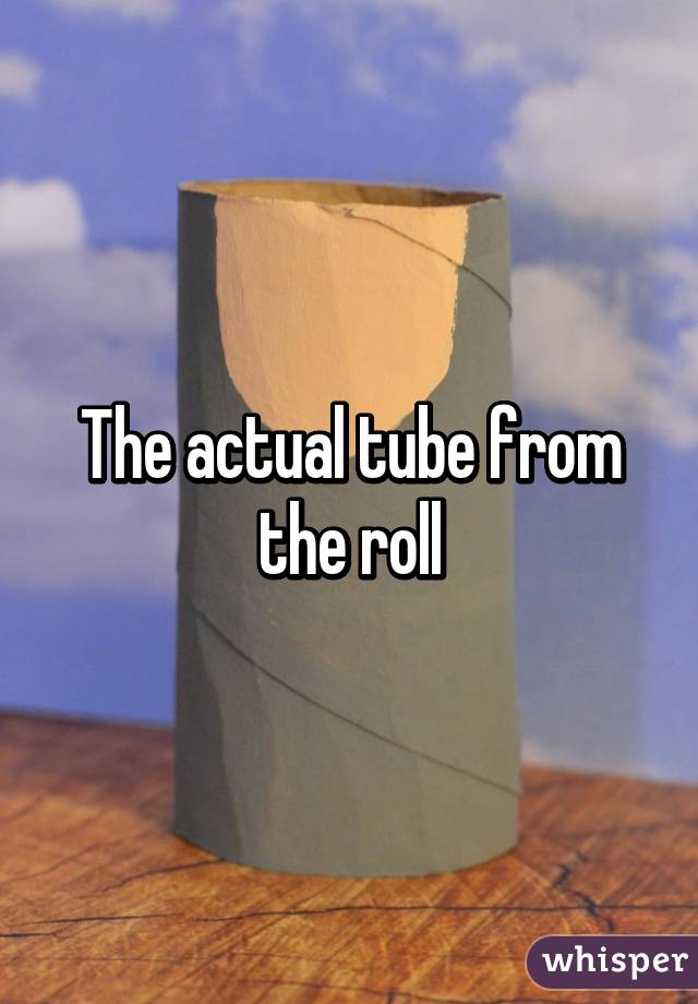 The actual tube from the roll