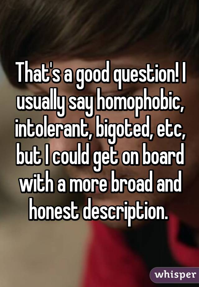 That's a good question! I usually say homophobic, intolerant, bigoted, etc, but I could get on board with a more broad and honest description. 