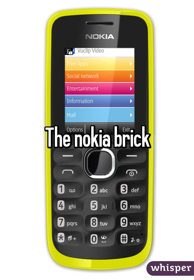 The nokia brick