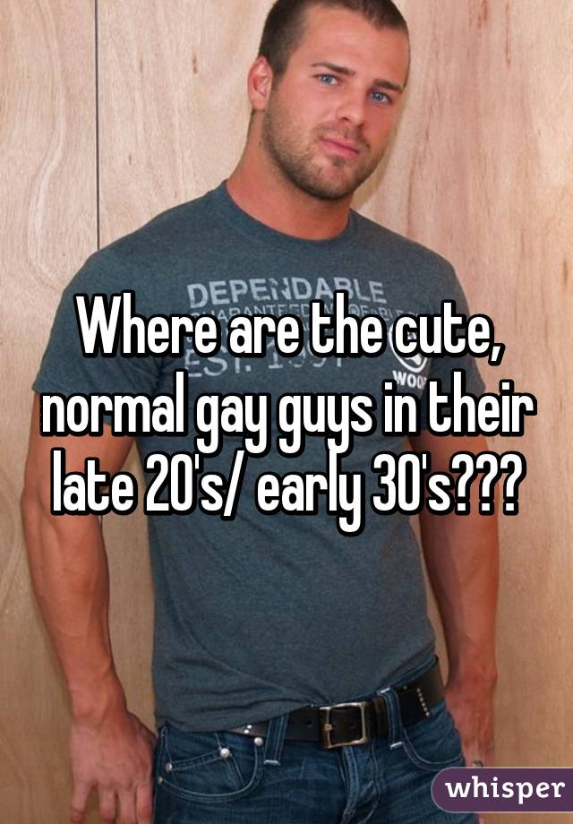 Normal Gay Guys 107