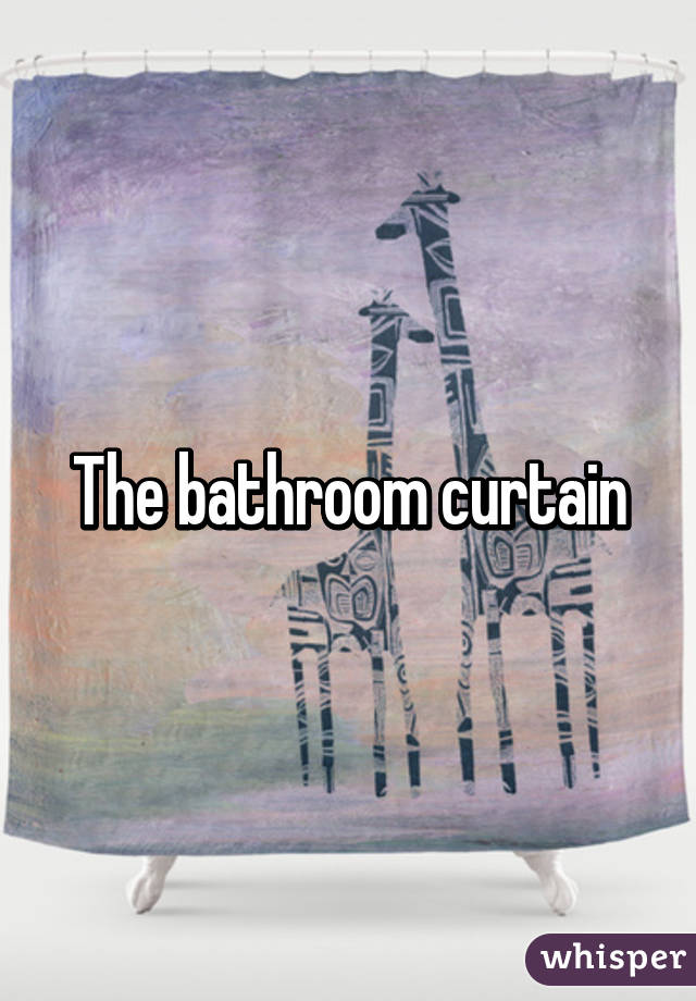 The bathroom curtain