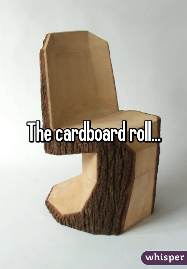 The cardboard roll...