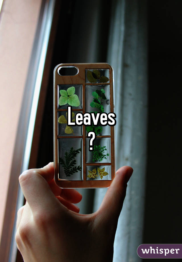 Leaves
😔