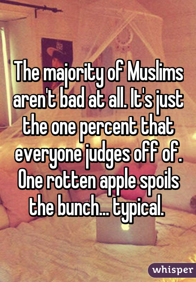 The majority of Muslims aren't bad at all. It's just the one percent that everyone judges off of. One rotten apple spoils the bunch... typical. 