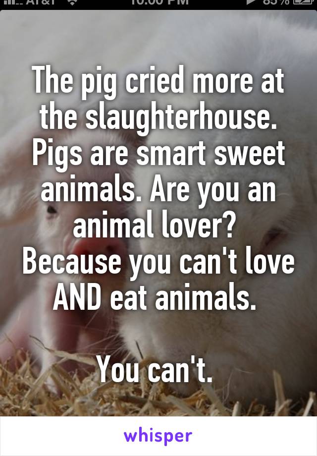 The pig cried more at the slaughterhouse. Pigs are smart sweet animals. Are you an animal lover?  Because you can't love AND eat animals. 

You can't. 