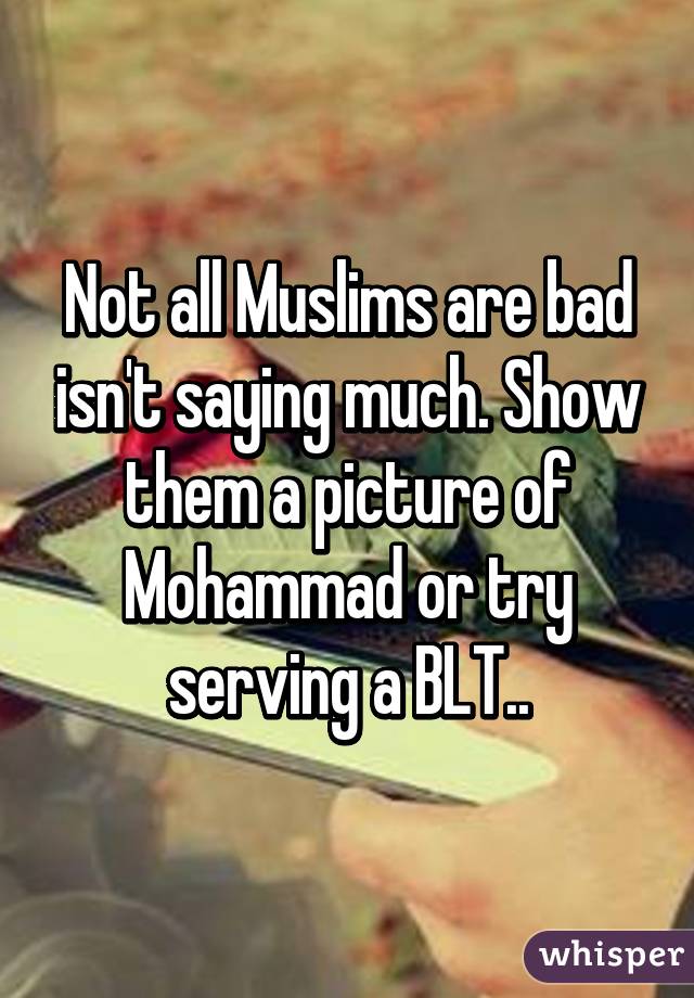 Not all Muslims are bad isn't saying much. Show them a picture of Mohammad or try serving a BLT..