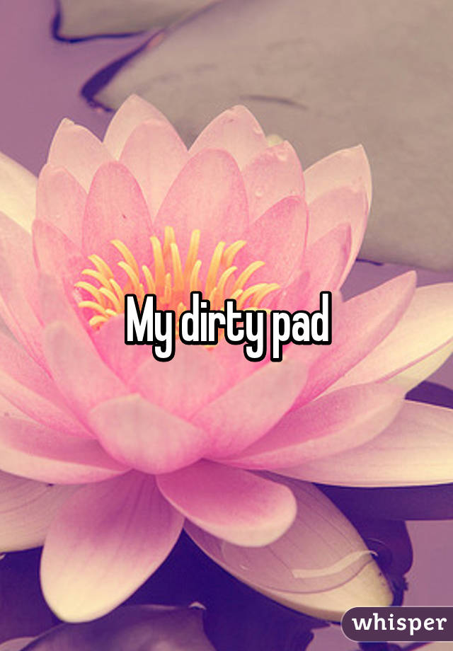 My dirty pad