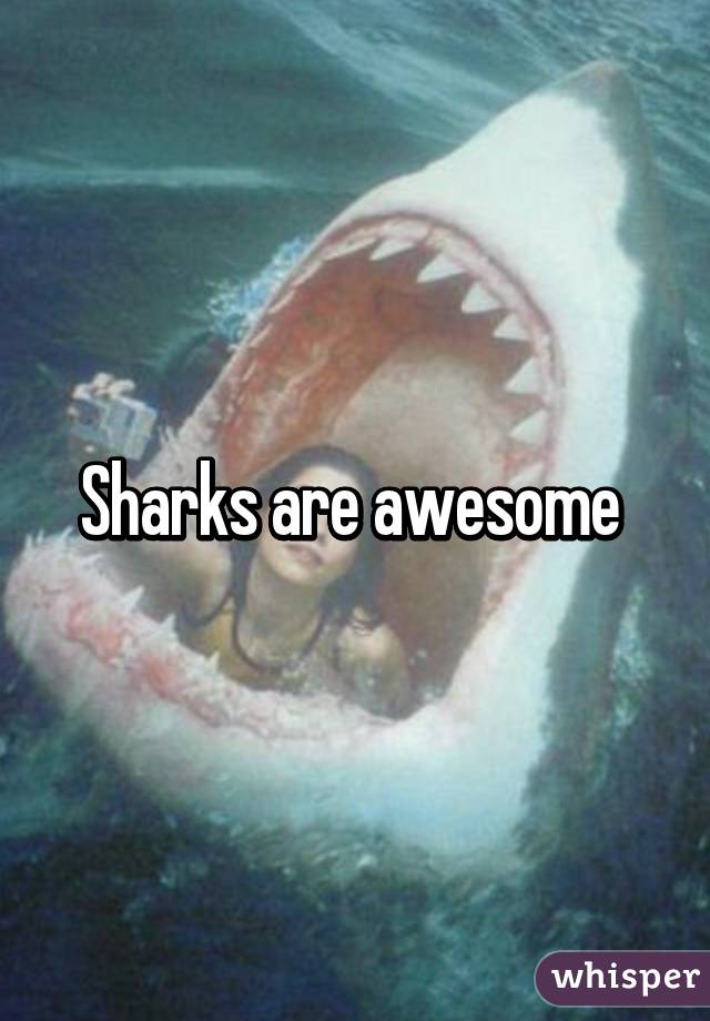 Sharks are awesome 
