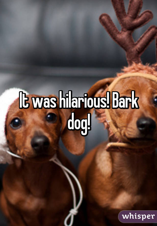 It was hilarious! Bark dog!