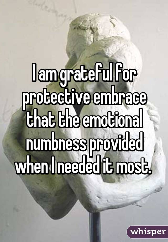 I am grateful for protective embrace that the emotional numbness provided when I needed it most. 