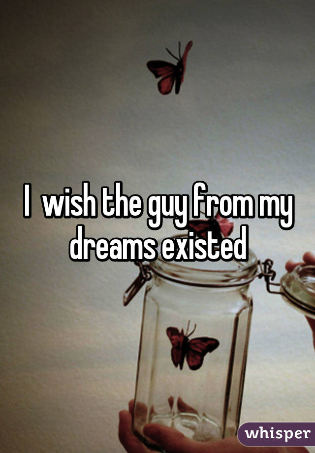 I  wish the guy from my dreams existed