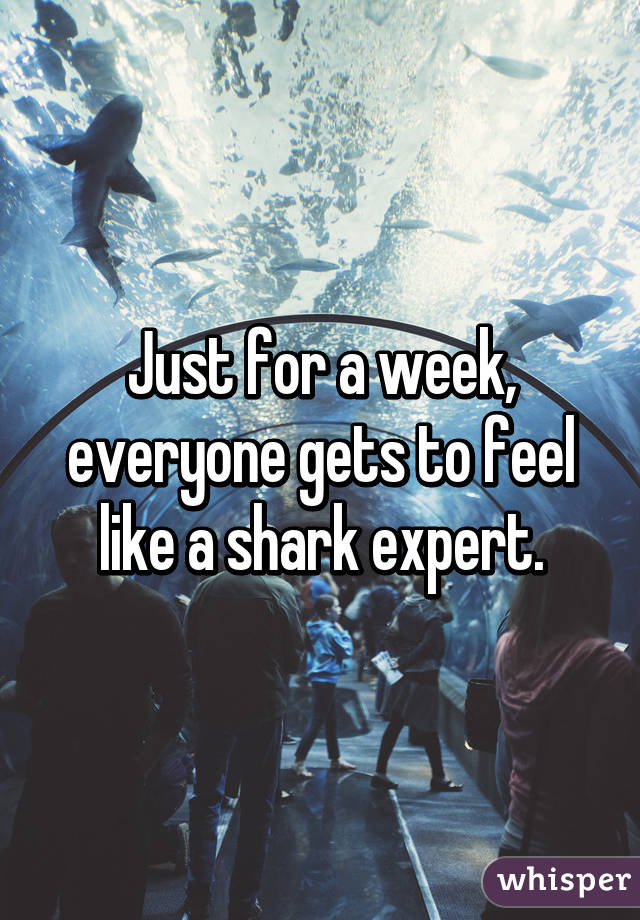 Just for a week, everyone gets to feel like a shark expert.