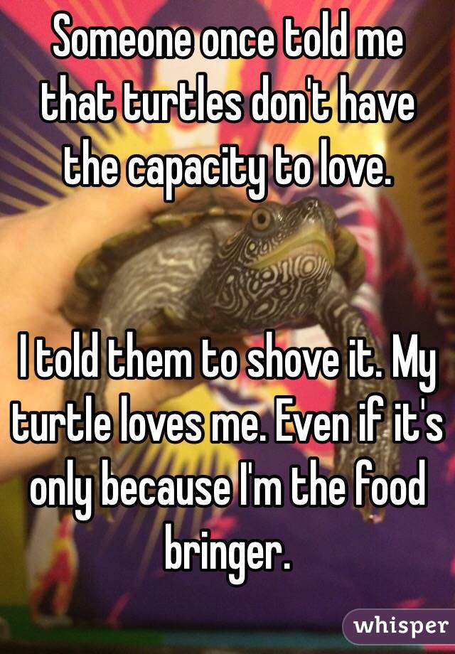 Someone once told me that turtles don't have the capacity to love. 


I told them to shove it. My turtle loves me. Even if it's only because I'm the food bringer. 