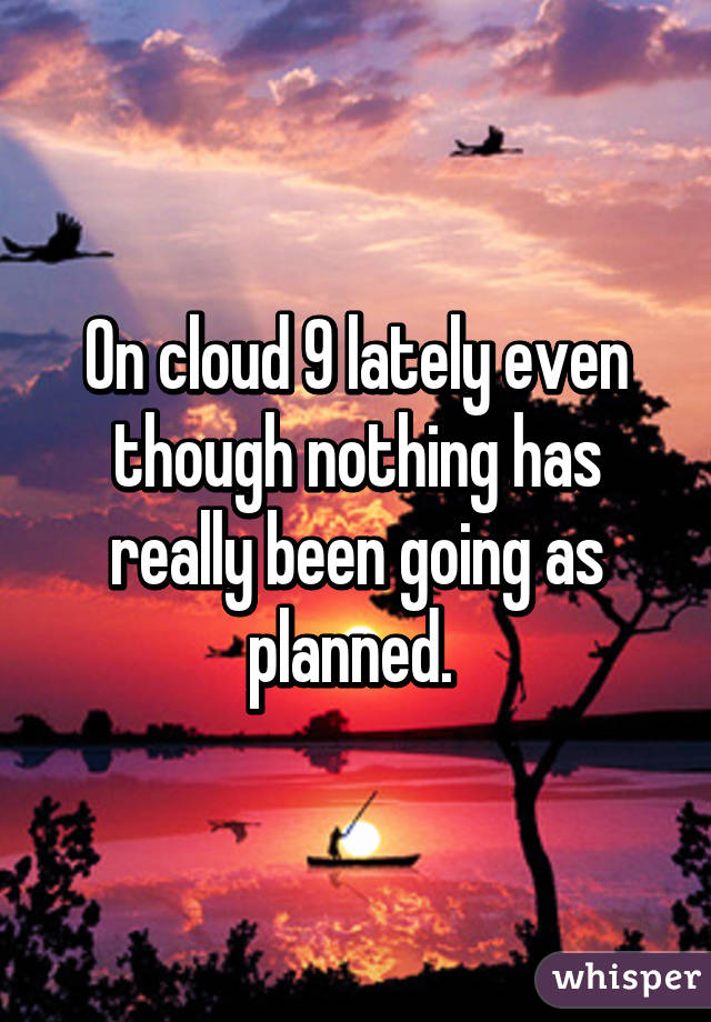 On cloud 9 lately even though nothing has really been going as planned. 