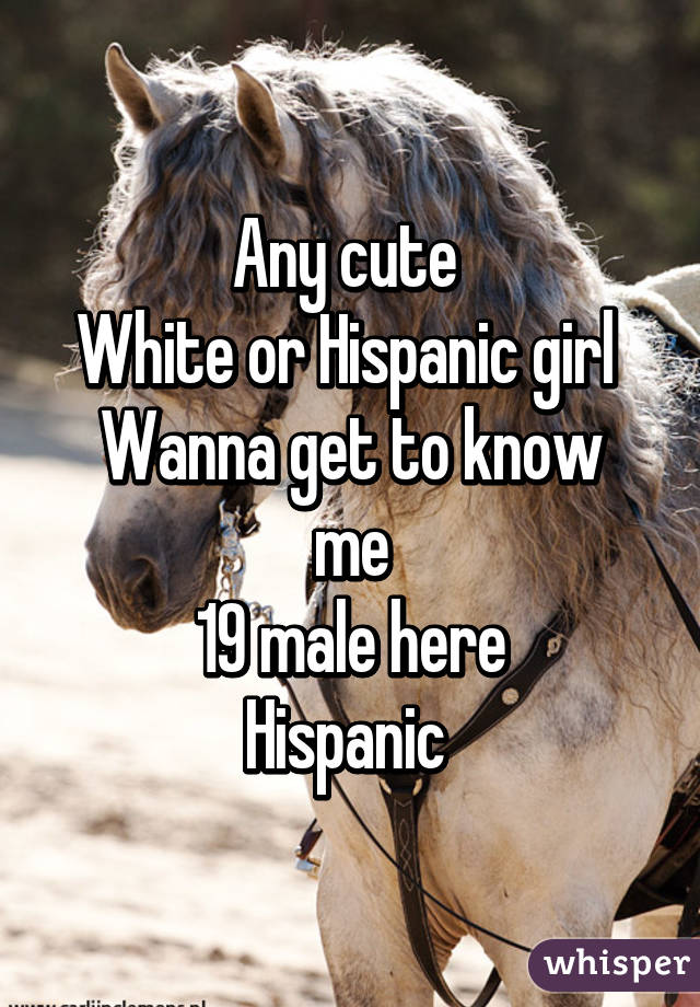 Any cute 
White or Hispanic girl 
Wanna get to know me
19 male here
Hispanic 