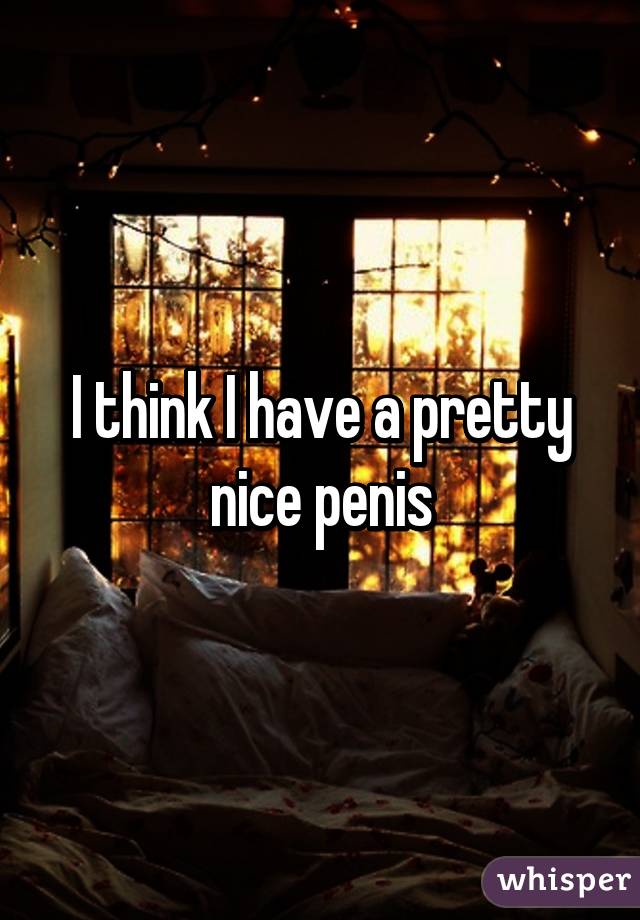 I think I have a pretty nice penis