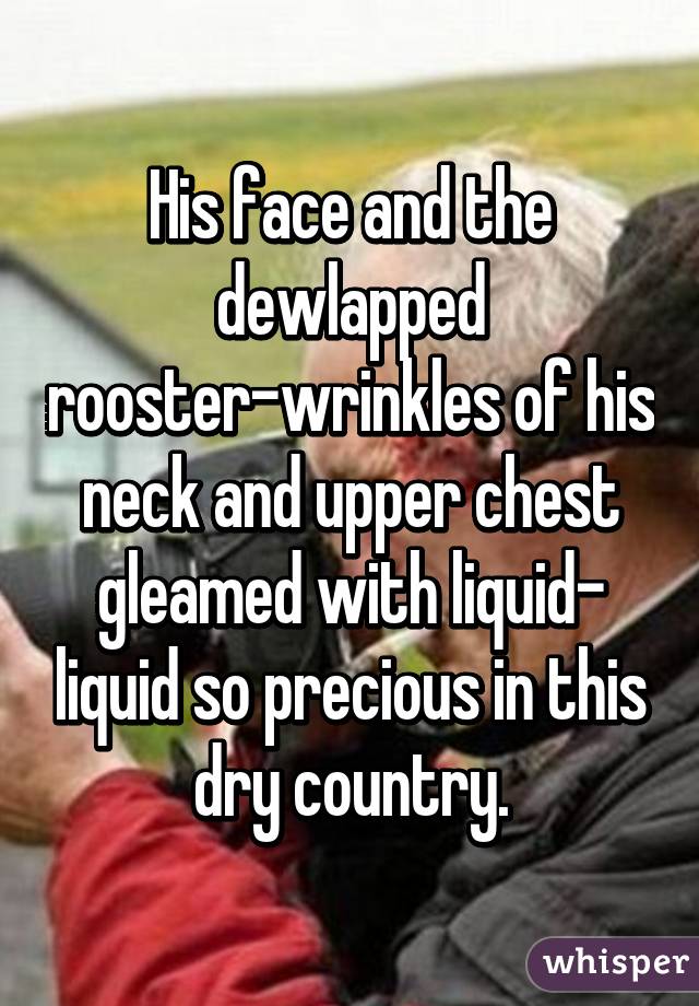 His face and the dewlapped rooster-wrinkles of his neck and upper chest gleamed with liquid- liquid so precious in this dry country.