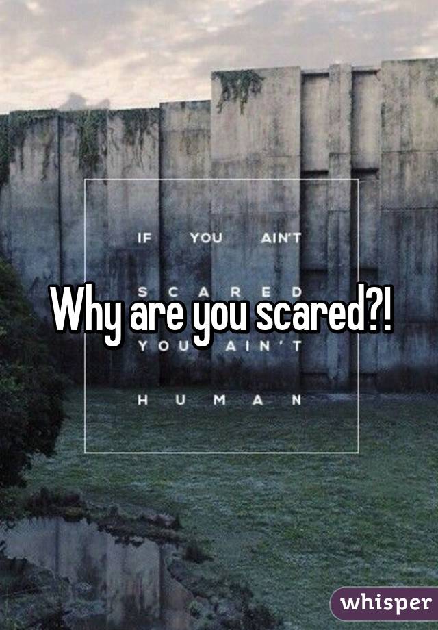 Why are you scared?!