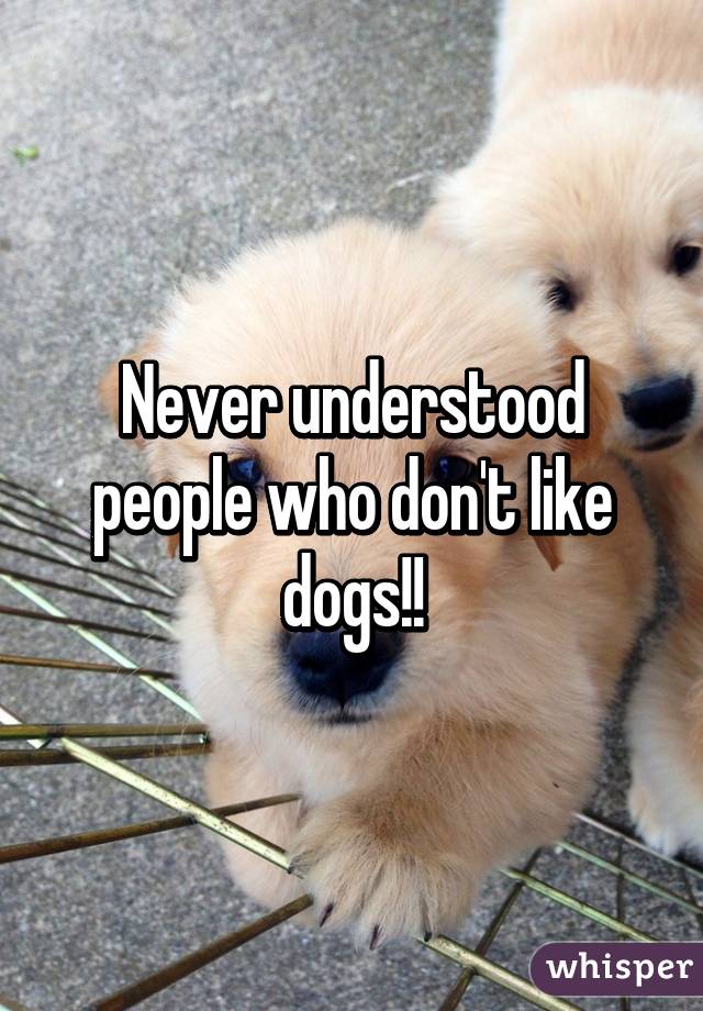 Never understood people who don't like dogs!!