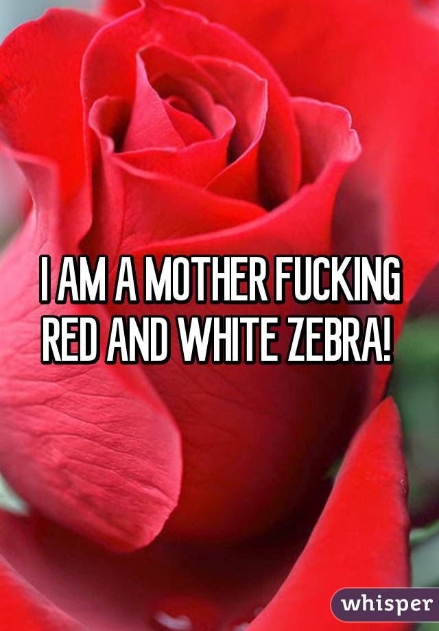 I AM A MOTHER FUCKING RED AND WHITE ZEBRA! 