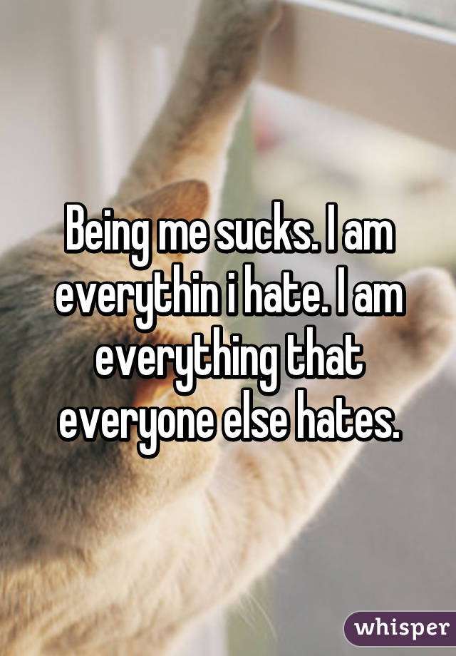 Being me sucks. I am everythin i hate. I am everything that everyone else hates.