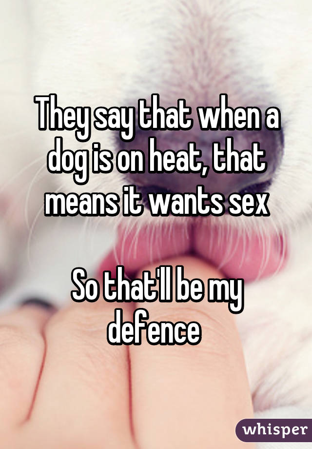 They say that when a dog is on heat, that means it wants sex

So that'll be my defence 