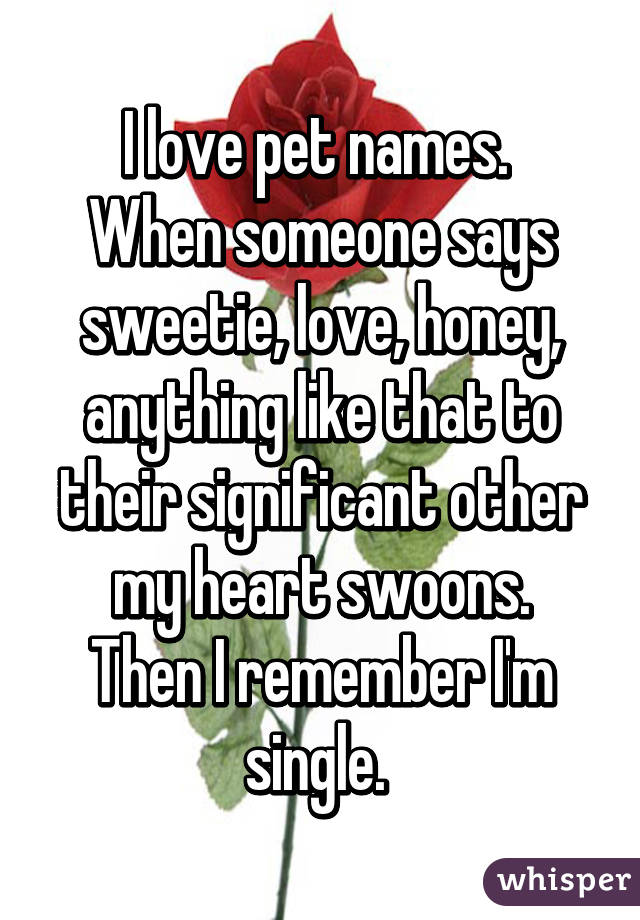 I love pet names. 
When someone says sweetie, love, honey, anything like that to their significant other my heart swoons.
Then I remember I'm single. 