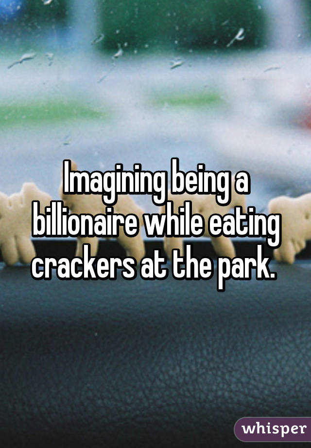 Imagining being a billionaire while eating crackers at the park. 