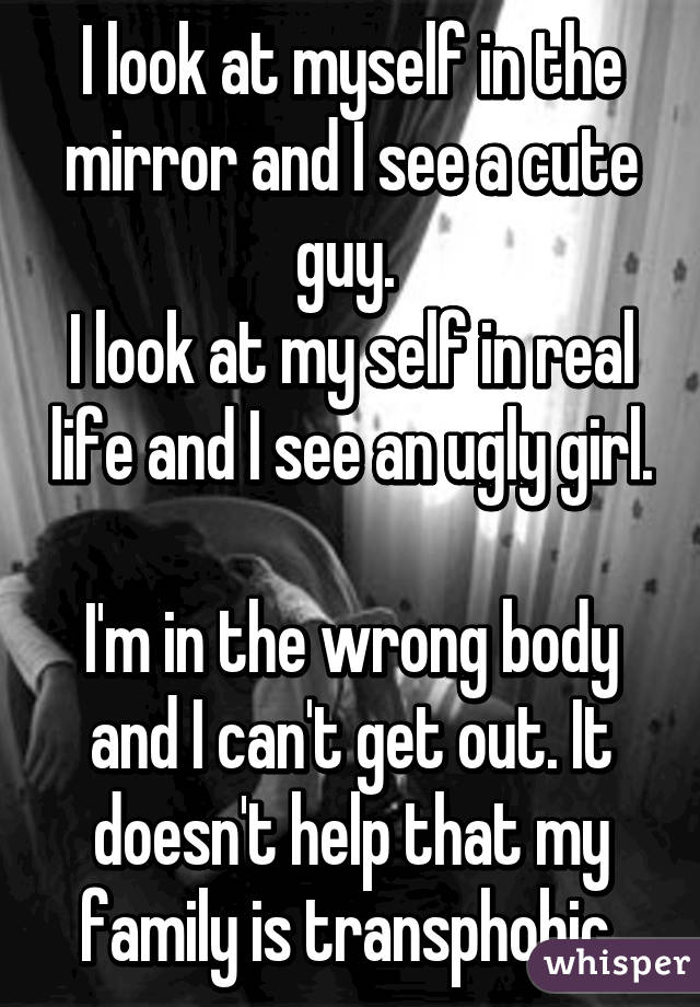 I look at myself in the mirror and I see a cute guy. 
I look at my self in real life and I see an ugly girl. 
I'm in the wrong body and I can't get out. It doesn't help that my family is transphobic 