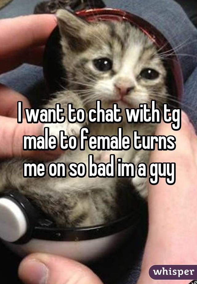 I want to chat with tg male to female turns me on so bad im a guy
