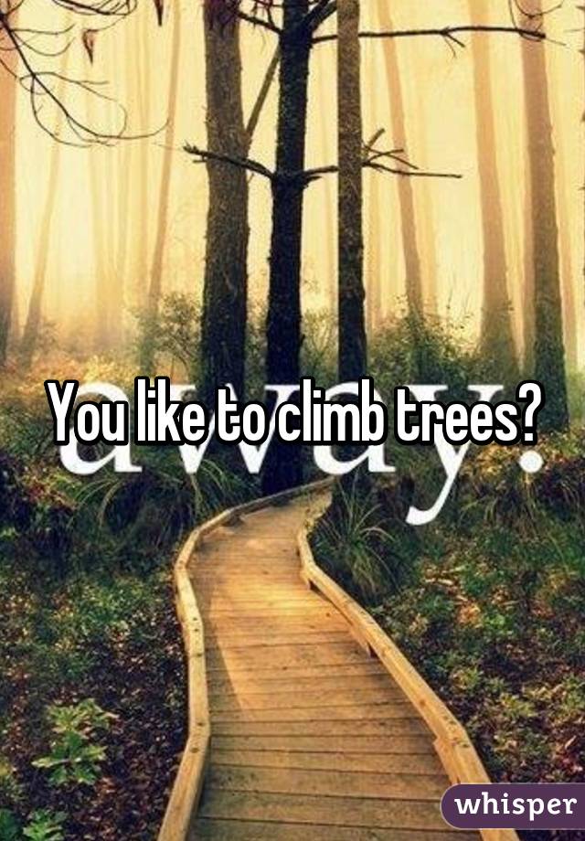 You like to climb trees?