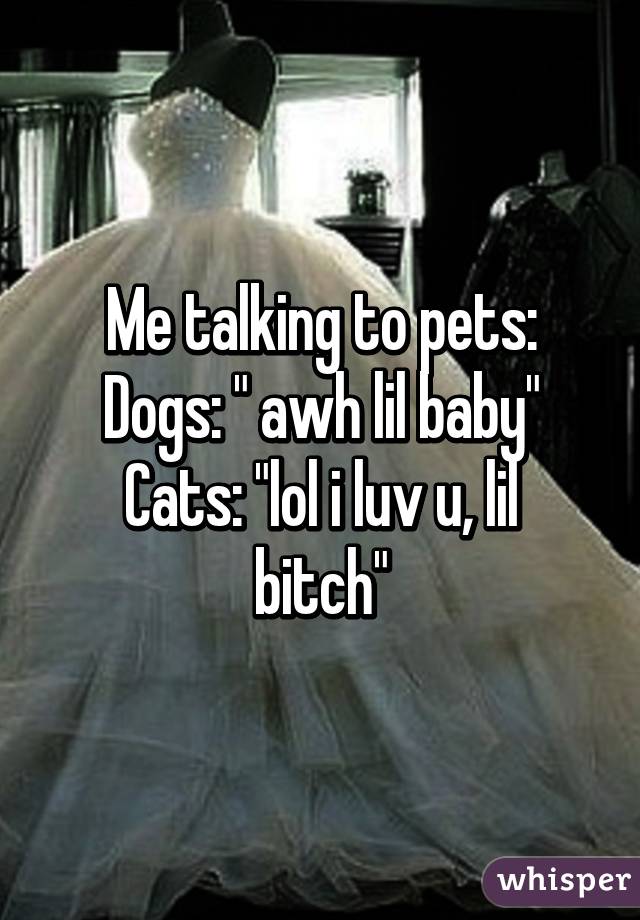 Me talking to pets:
Dogs: " awh lil baby"
Cats: "lol i luv u, lil bitch"