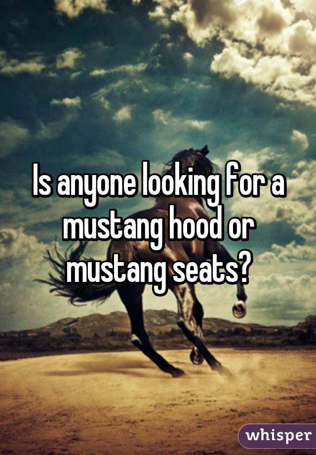 Is anyone looking for a mustang hood or mustang seats?