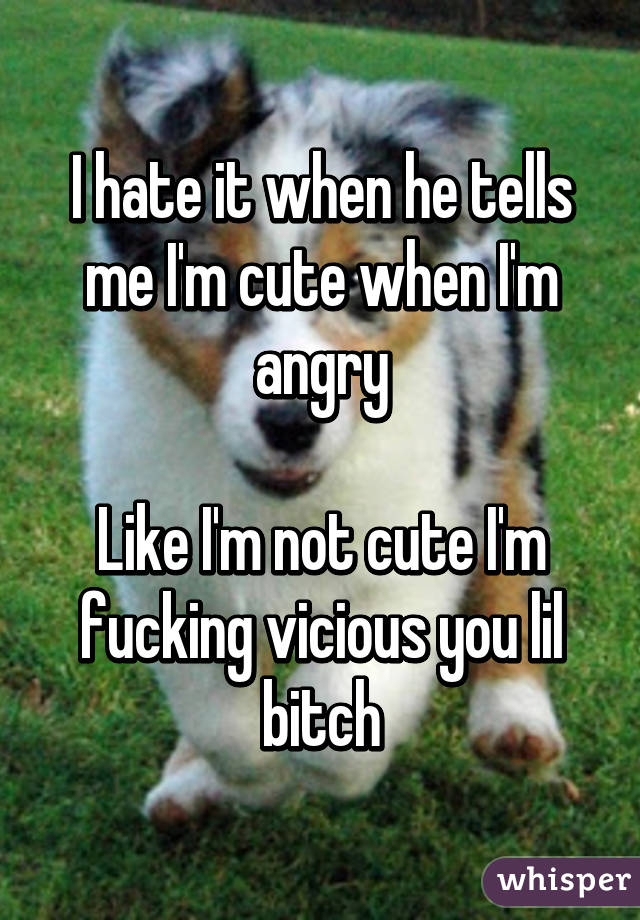 I hate it when he tells me I'm cute when I'm angry

Like I'm not cute I'm fucking vicious you lil bitch