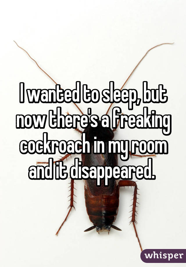 I wanted to sleep, but now there's a freaking cockroach in my room and it disappeared. 