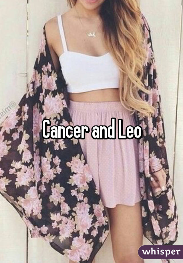 Cancer and Leo