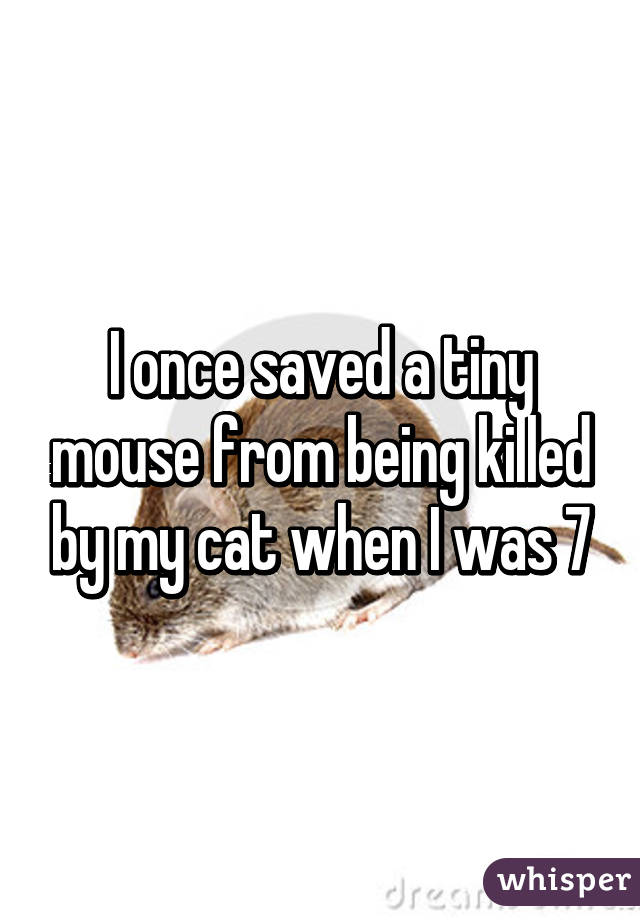 I once saved a tiny mouse from being killed by my cat when I was 7