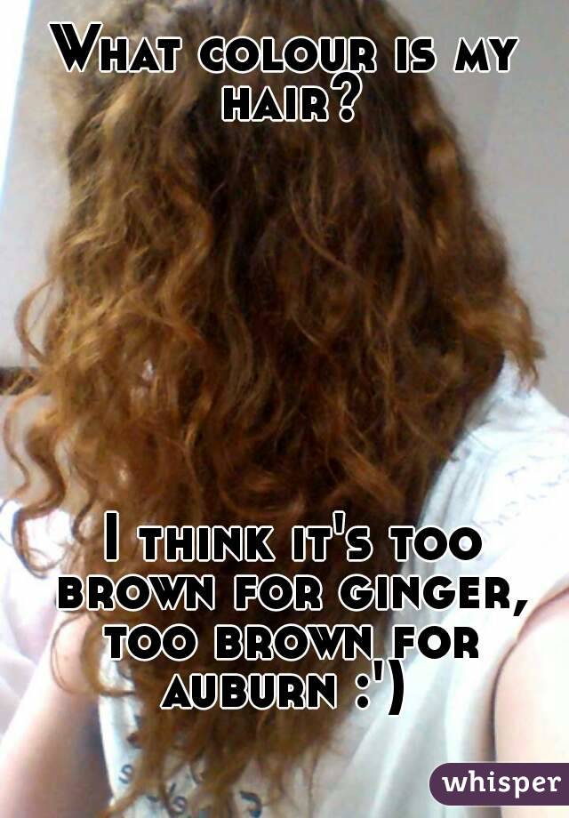 What colour is my hair?








 I think it's too brown for ginger, too brown for auburn :') 