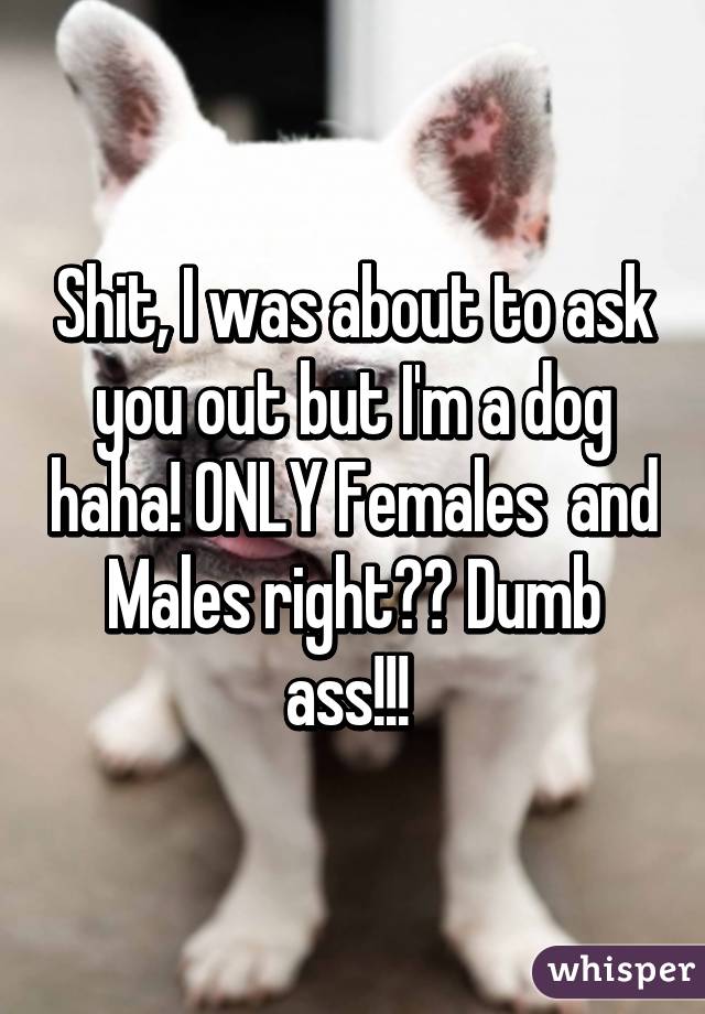 Shit, I was about to ask you out but I'm a dog haha! ONLY Females  and Males right?? Dumb ass!!! 