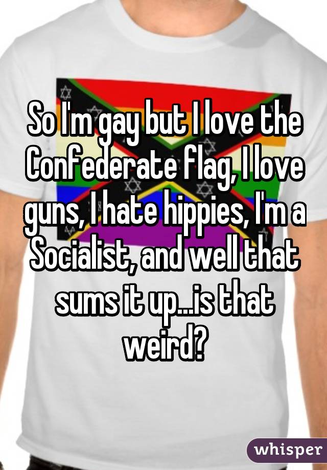 So I'm gay but I love the Confederate flag, I love guns, I hate hippies, I'm a Socialist, and well that sums it up...is that weird?