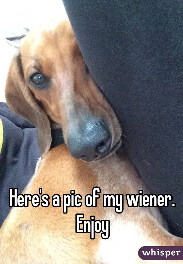 Here's a pic of my wiener. Enjoy