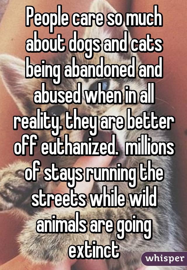 People care so much about dogs and cats being abandoned and abused when in all reality. they are better off euthanized.  millions of stays running the streets while wild animals are going extinct