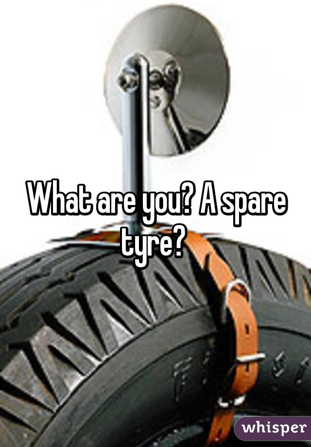 What are you? A spare tyre? 