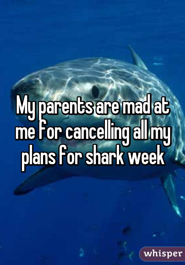 My parents are mad at me for cancelling all my plans for shark week