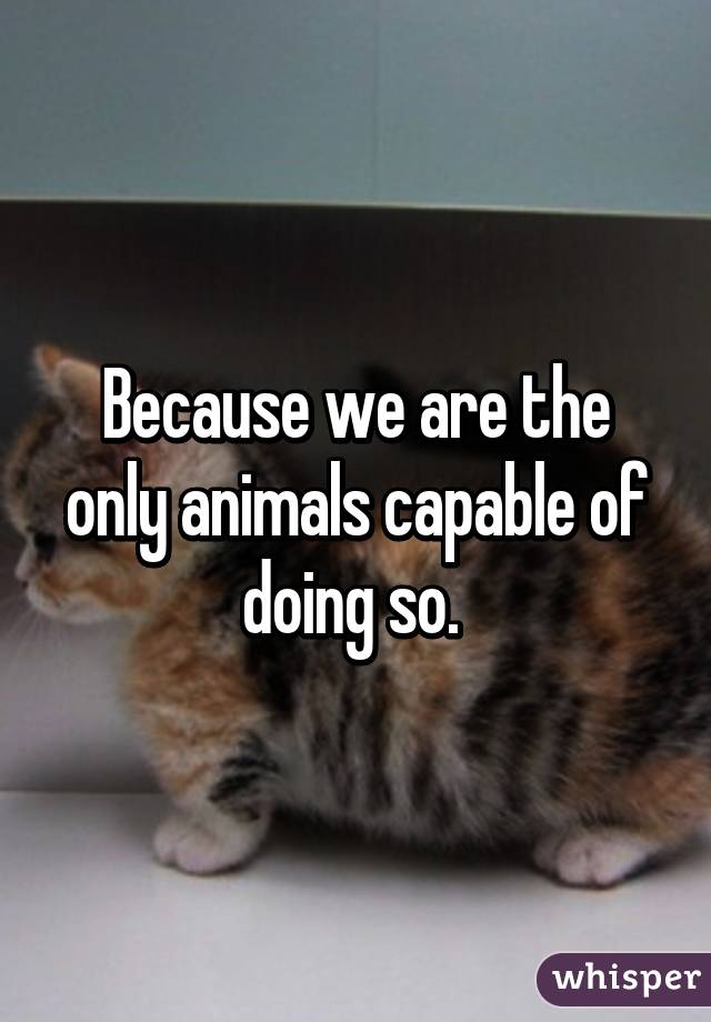 Because we are the only animals capable of doing so. 