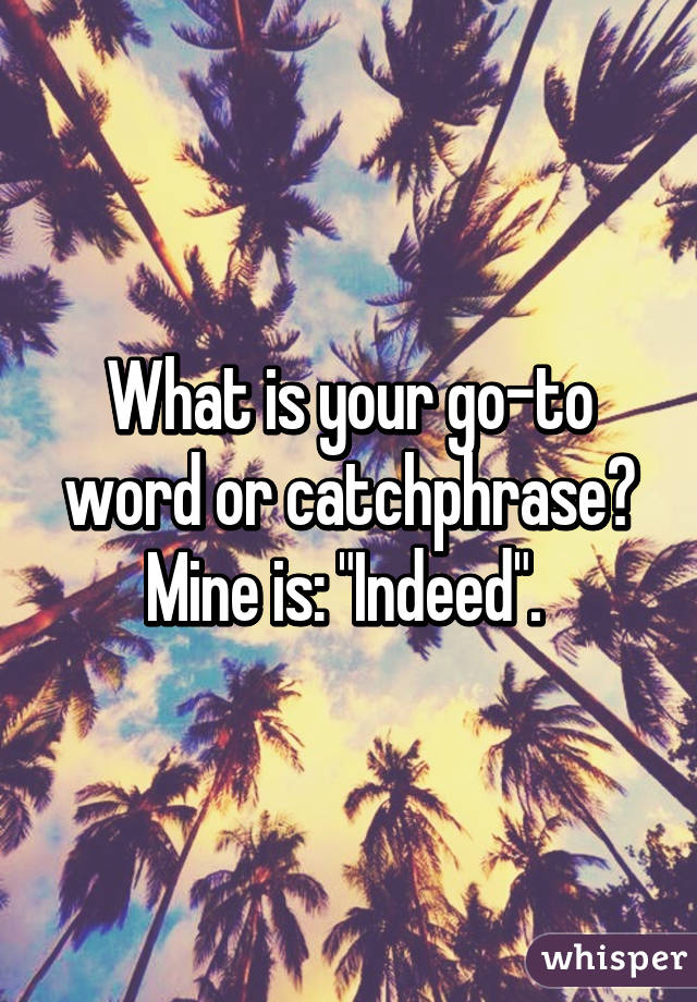 What is your go-to word or catchphrase?
Mine is: "Indeed". 