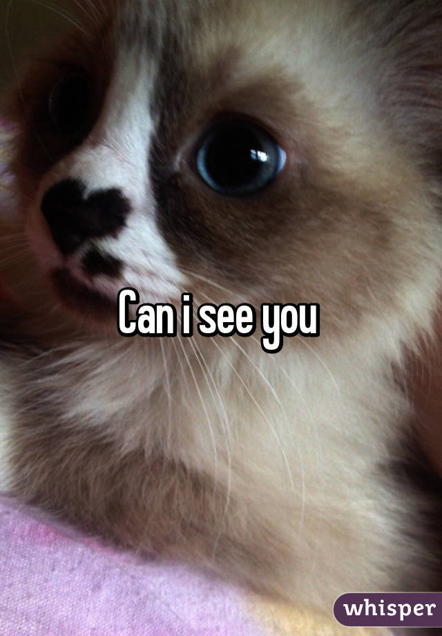 Can i see you 