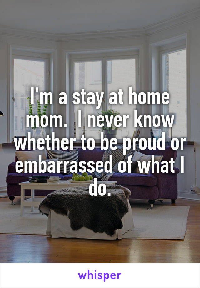 I'm a stay at home mom.  I never know whether to be proud or embarrassed of what I do.