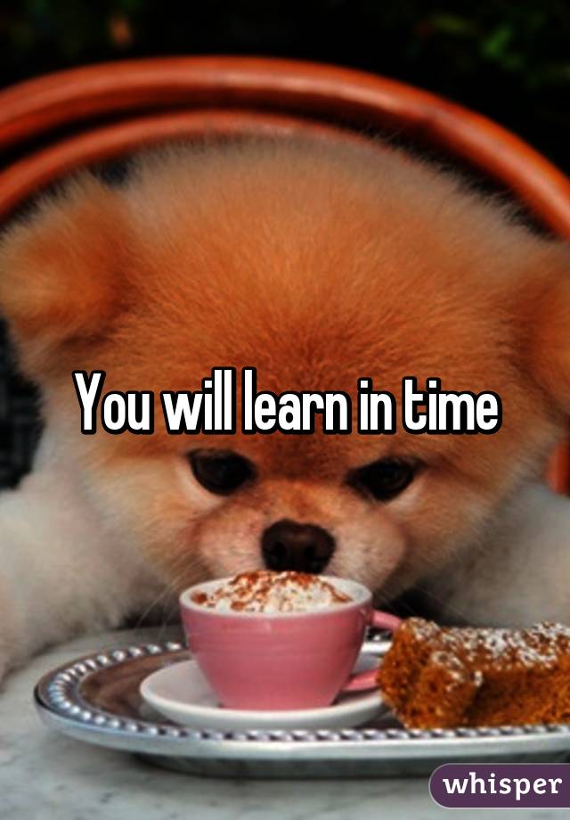 You will learn in time