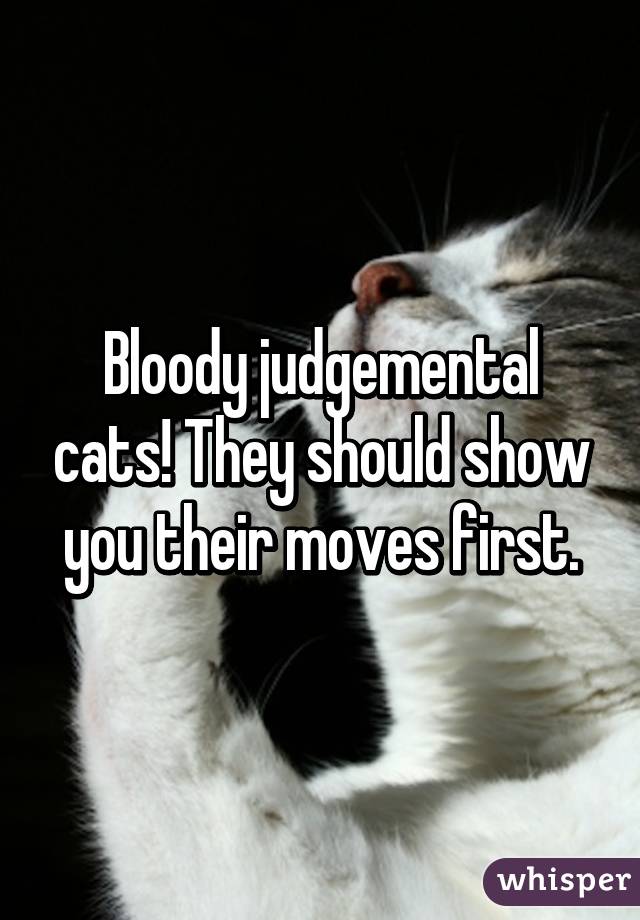Bloody judgemental cats! They should show you their moves first.